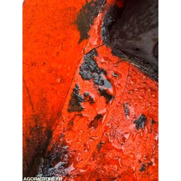 morgnieux 135-46495708