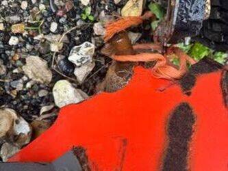 morgnieux-135-46495709