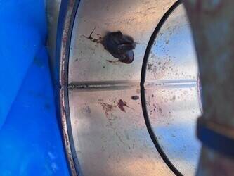 2020-komatsu-pc5500-6-46496413