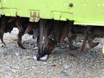 2017-grillo-g85-1441353-46498731