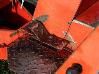 1997-schaffer-217-1441431-46500997