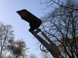 2020-takeuchi-tb23r-1441450-46501635