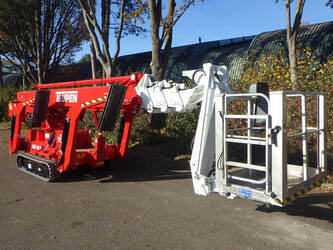 2015-teupen-leo30t-1441638-46507265