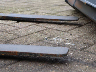 2024-shandong-cmh28-7-1441653-46507813