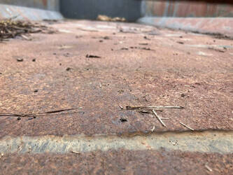 1984-beco-s1200-46509203