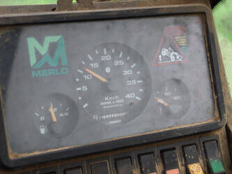 2006-merlo-p36-7-1441721-46509768