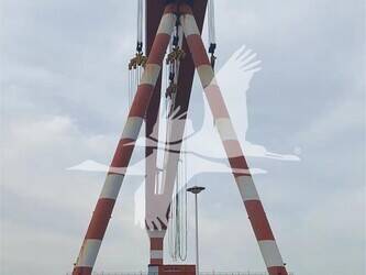 2011-jehi-mus900-46534770