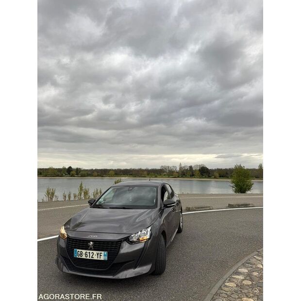 2021 Peugeot 208-46588320