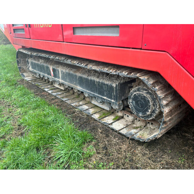 2023 Deprez Solomon-46589430