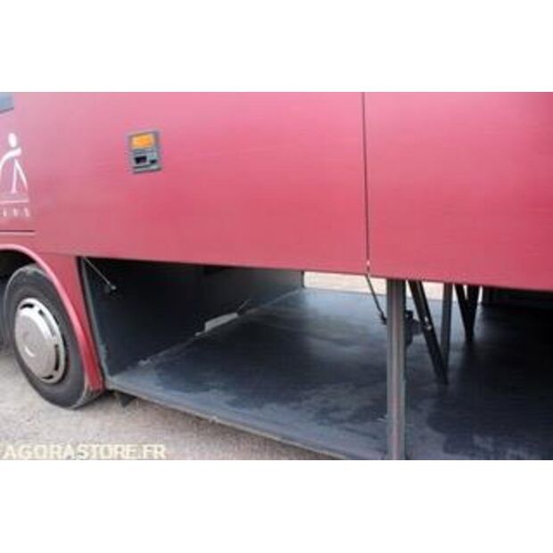 2014 تيمسا SAFARI-46607501