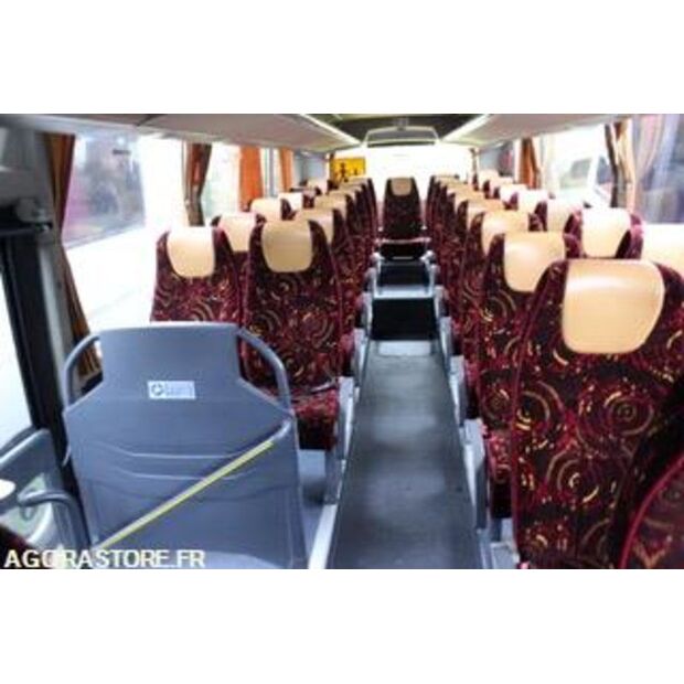 2014 تيمسا SAFARI-46607514