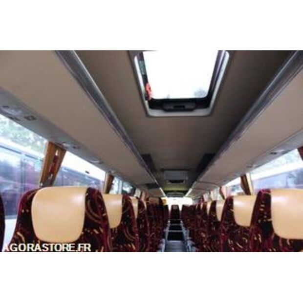 2014 تيمسا SAFARI-46607515