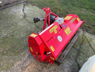 2025-del-morino-ginger-145m-46610283