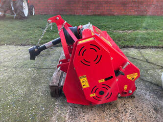 2025-del-morino-ginger-145m-46610284