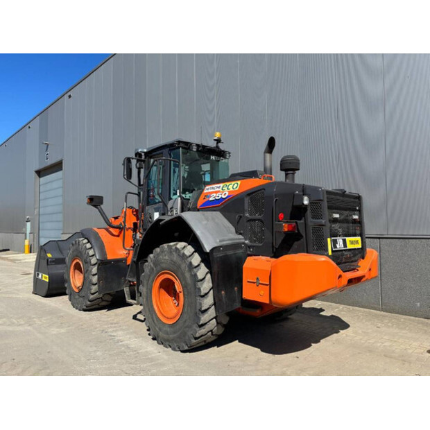 2020 Hitachi ZW 250-6-46646883