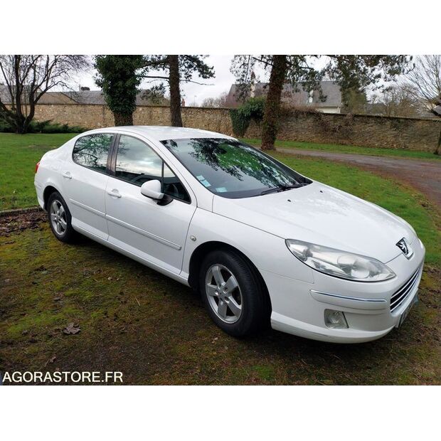 2009 Peugeot 407-46663266