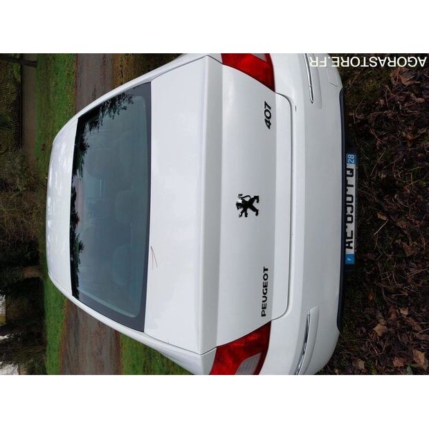 2009 Peugeot 407-46663273