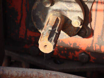 fiat-55-66-dt-1443857-46679874