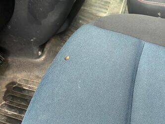 2016-renault-master-1444030-46696419