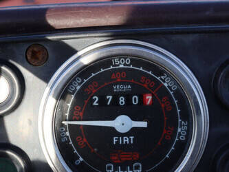 1974-wuhlmaus-others-1443859-46699182