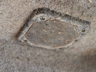 massey-ferguson-390t-1444158-46701042