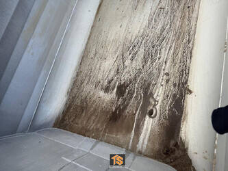 2010-stas-s300cx-1444221-46703660