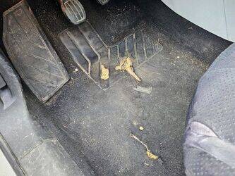 2015-peugeot-308-1444377-46719258