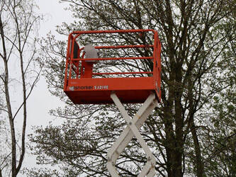 2019-snorkel-s3219e-1444622-46726705