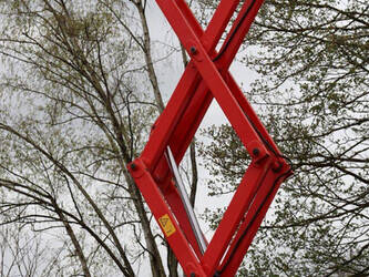 2019-lgmg-as0808-46727366