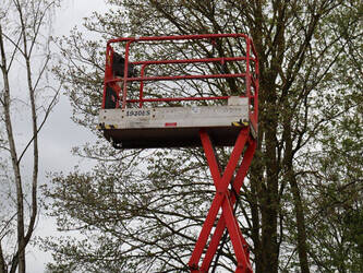 2008-jlg-1930es-1444649-46727398