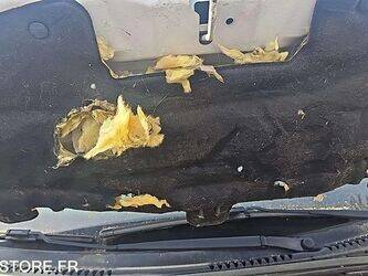 2012-citroen-c3-1445001-46748842