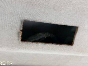 2011-renault-trafic-1445005-46748923