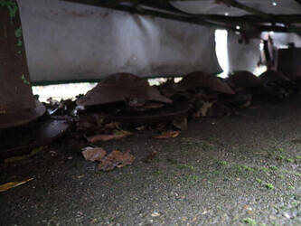 a-koda-others-1445048-46749881