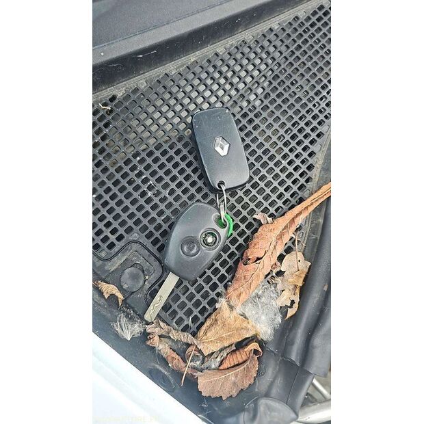 2010 Renault Clio-46769045