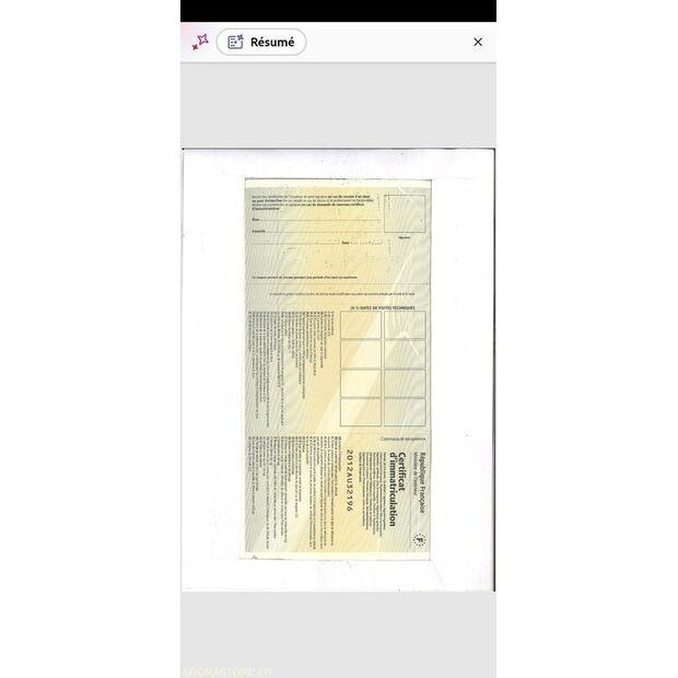 1996 رينو ERG85 2R-46769300