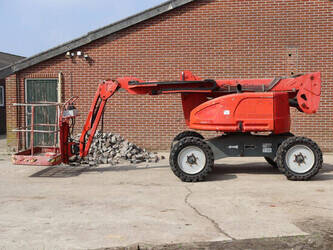 2011-atn-zebra-12-1445501-46770909