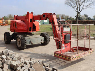 2011-atn-zebra-12-1445501-46770913