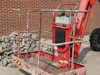 2011-atn-zebra-12-1445501-46770915