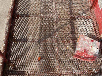 2011-atn-zebra-12-1445501-46770916