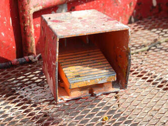 2011-atn-zebra-12-1445501-46770917