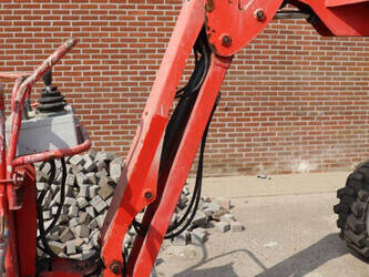 2011-atn-zebra-12-1445501-46770921