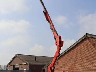 2011-atn-zebra-12-1445501-46770934