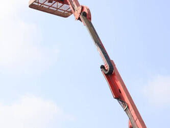 2011-atn-zebra-12-1445501-46770935