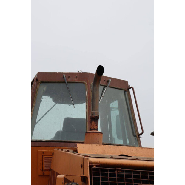 1989 كاس W15-46772109