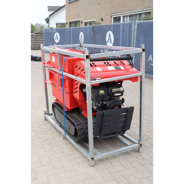 Schorr OTHERS-46773152