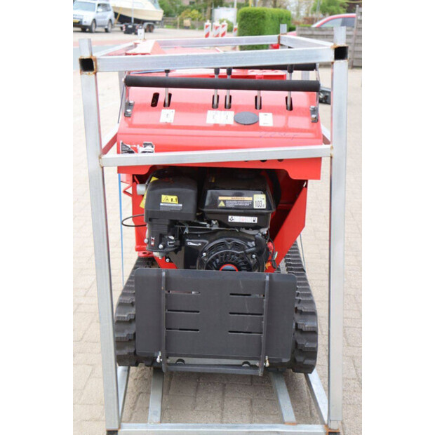 Schorr OTHERS-46773153