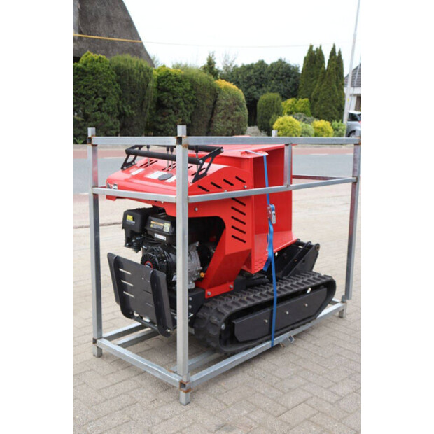 Schorr OTHERS-46773154