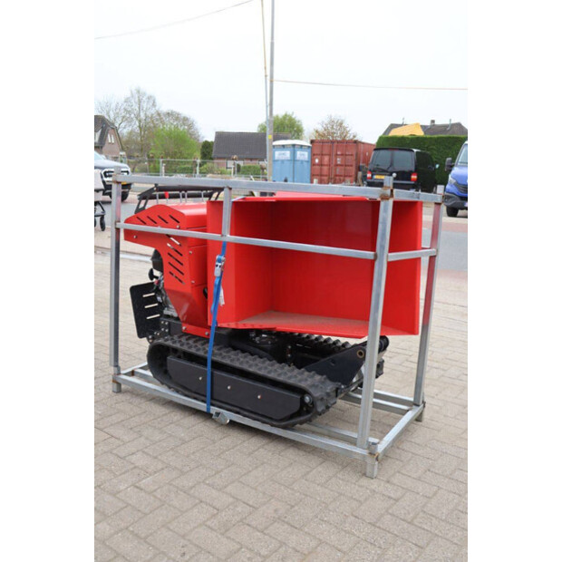 Schorr OTHERS-46773155