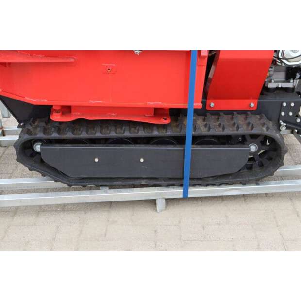 Schorr OTHERS-46773158