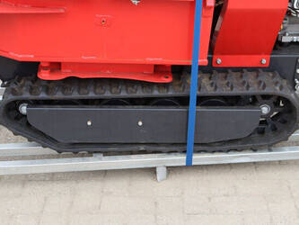 schorr-others-46773158